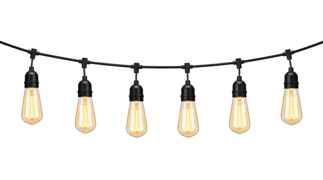 String of edison light bulbs isolated on transparent background