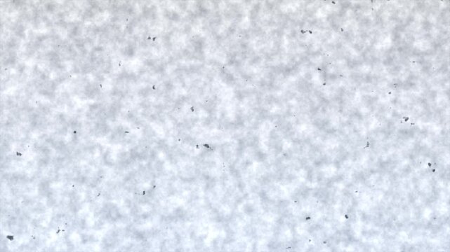 Abstract Motion Background with White Smoky Texture and Dark Particles