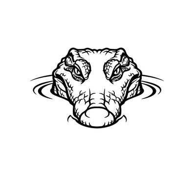 Close-up sketch of an alligator's head emerging from water, conveying danger and wild nature in a menacing style.