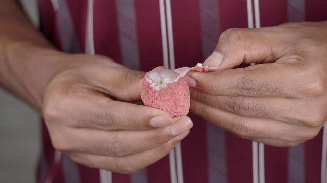 Holding a lychee in hands and preparing to eat it