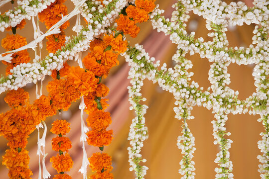 Beautiful flower decoration 