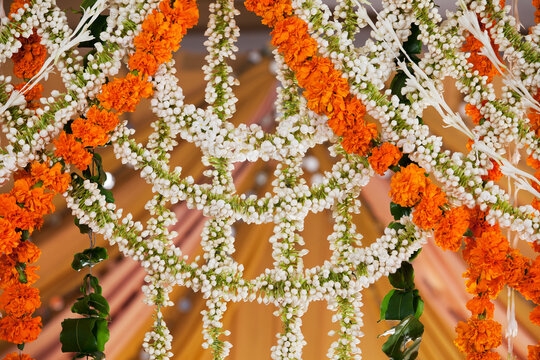 Close-up of flower garlands hanging 