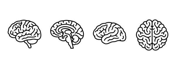 Fototapeta premium Human brain icon vector. Simple flat symbol. editable strokes