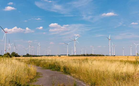 Wind turbines generating green energy over golden wheat fields under blue cloudy sky, renewable energy and sustainable agriculture concept