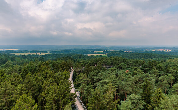 Panoramic high angle view of wooden treetop walkway weaving through vast green forest under cloudy sky, eco tourism and nature conservation concept