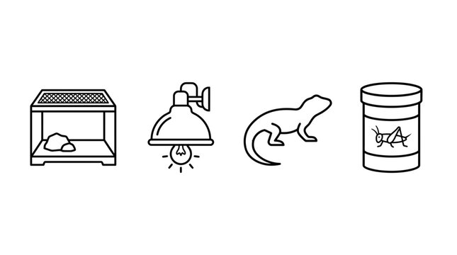 Reptile care and terrarium equipment line icons.