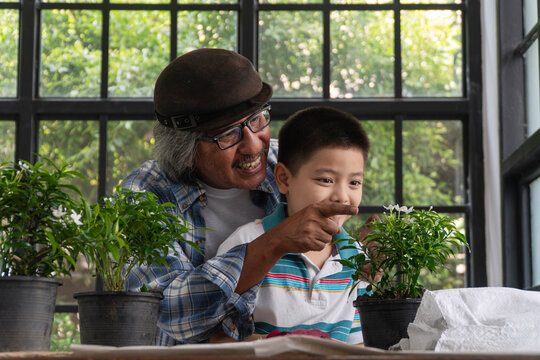 Portrait of a happy senior Asian grandfather teaching his grandson about nature, pointing at a blooming potted plant indoors. Multigenerational family bonding and home gardening concept.