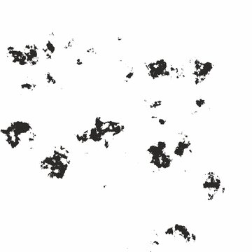 Black and White Distressed Grunge Texture Overlay with Fine Speckles and Scratches.Abstract distressed grunge texture featuring fine speckles,scattered ink marks,subtle scratches and weathered.