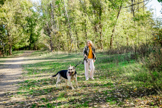 Young female owner walking big east European Shepherd dog along path in sunny autumn forest. Peaceful weekend recreation and loyal animal companionship.