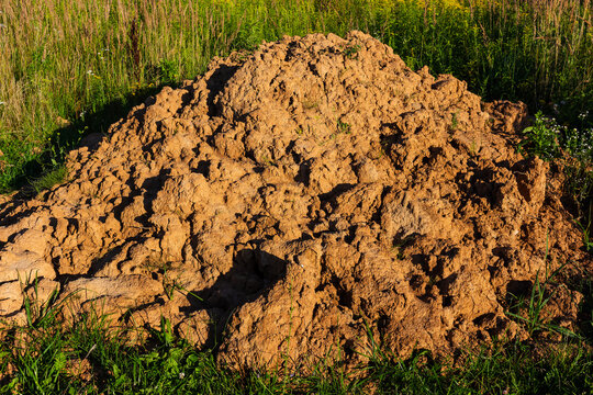 Large mound of raw brown earth piled up in a green meadow featuring uneven cloddy surface texture with earthy cracks and dry soil chunks under bright natural summer light
