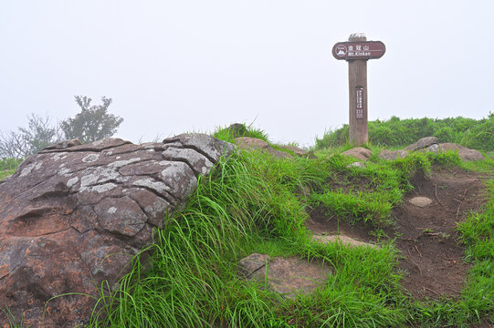 伊豆半島の伊豆山稜線歩道　金冠山山頂　山霧の広い頂
