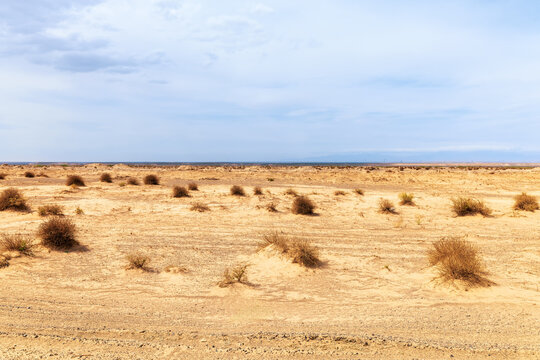Wide daytime view of sandy desert terrain and sparse shrubs in Xinjiang, China, offering natural background space for travel, climate, conservation, and environmental concepts.