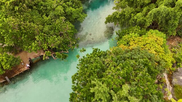 Scenic drone footage revealing the hidden gem of the Blue Lagoon, vibrant green jungle, untouched natural beauty and and pristine tropical rainforest in Efate, Vanuatu.