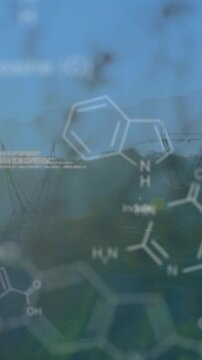 Digital animation merges chemistry, code, and nature at sunset.