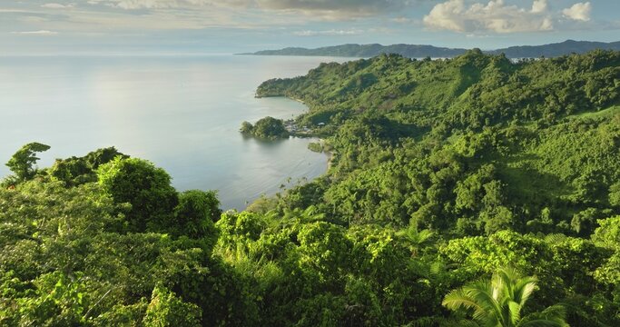 Aerial view of the lush tropical coastline and dense forest canopy overlooking the calm waters of the bay in Savusavu, Northern Division, Fiji.