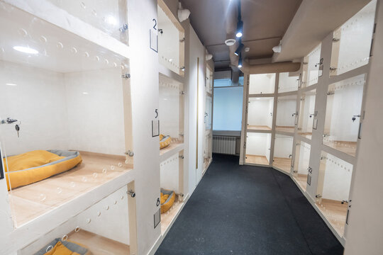 An empty pet boarding facility with individual rooms with glass doors.