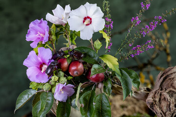 Three rhinoceros beetles among pink, purple and white hibiscus flowers, green foliage, red fruits and weathered wood in a botanical still life. © Юрій Абросімов
