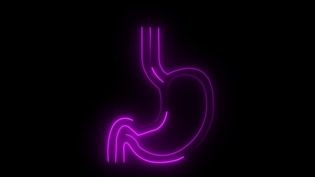 Neon Stomach Icon &ndash; Digestive System and Health acid reflux concept ulcer problem digestion process human anatomy icon Concept.Motion graphics of concept