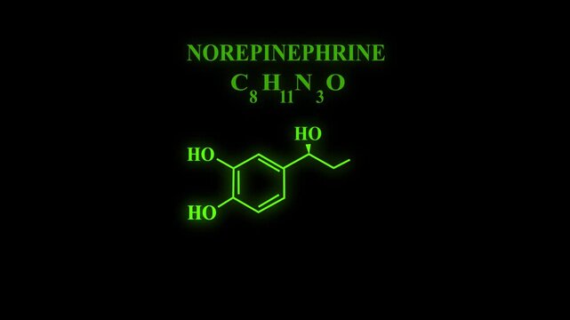 Norepinephrine or NE also called noradrenaline or NA or noradrenalin Molecular Structure Symbol Neon Animation on black background. glowing Noradrenaline, Nora, Norad Chemical Formula Structure...