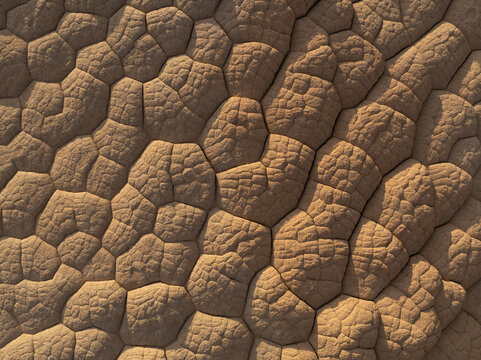 Aerial view of unique polygonal rock formations and cracked sandstone patterns at White Pocket, showcasing intricate textures and desert landscape in Coconino County, Arizona, United States.