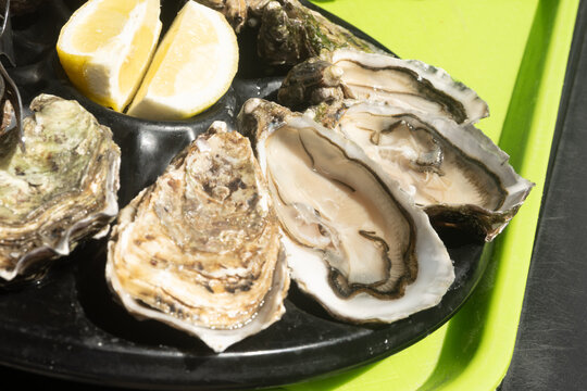 Fresh oysters on plastic plates aready to eat, Brittany fish market stall in coastal village Cancale, famous oysters farms by Atlantic ocean, France