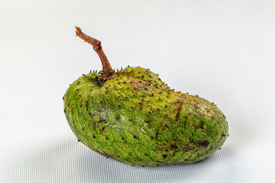 Green soursop fruit with spiky texture and brown spots on white background