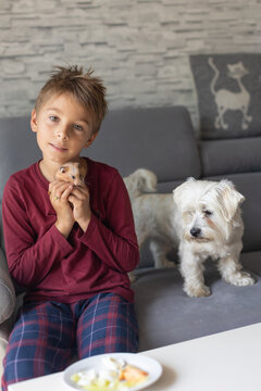 Cute child, playing with hamster at home, pet dog next to him