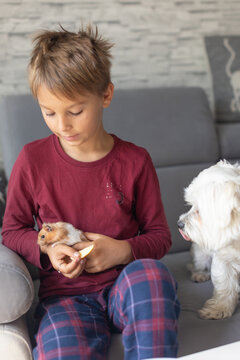 Cute child, playing with hamster at home, pet dog next to him