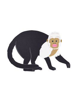 Cute digital illustration of a white-headed capuchin monkey isolated on white background
