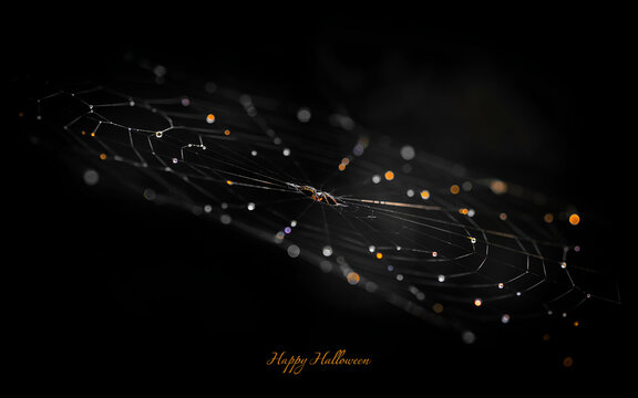 Silhouette Spider Web with happy halloween greetings