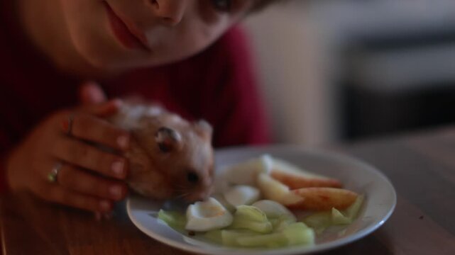 Cute child, playing with hamster at home, pet dog next to him