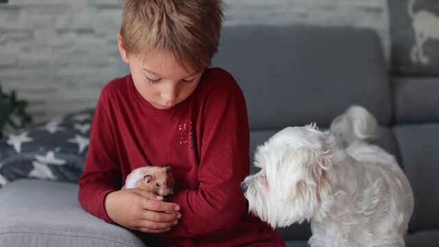 Cute child, playing with hamster at home, pet dog next to him