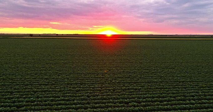 Aerial view of agricultural field with a vibrant red and yellow sunset