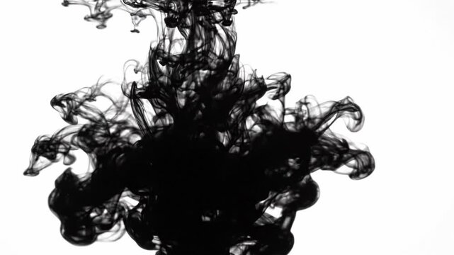Black ink disperses through clear liquid, expanding from a dense cloud into intricate swirling patterns for fluid motion and abstract science concept