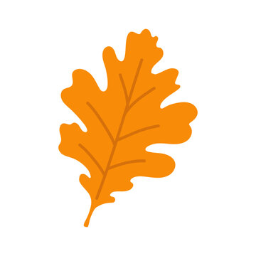 vector oak autumn leaves , illustrated in a simple playful style for fall, nature, seasonal decor, botanical designs.