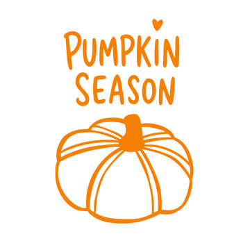 vector Pumpkin Season sticker featuring a classic autumn pumpkin in warm orange lettering, ideal for harvest, Thanksgiving, Halloween, seasonal kitchen and fall decoration themes.