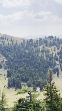 Panoramic Vertical Pan Across Wild and Unconventional Mountains