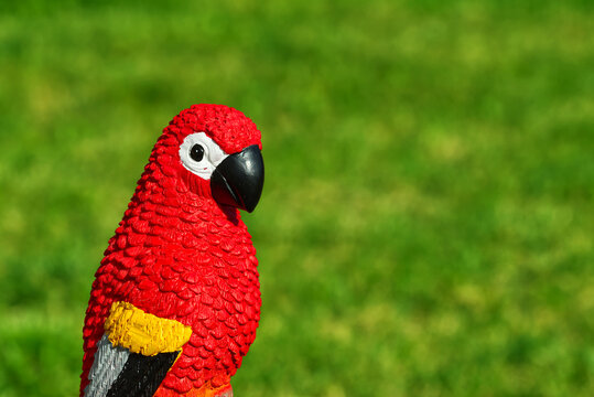 Red decorative tropical parrot figurine outdoors in a garden with green background and copy space