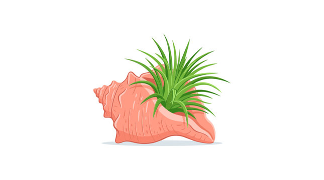  Tillandsia Air Plant In Pink Seashell Pot Vector Illustration