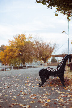 Empty bench in an autumn park.