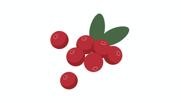 Bunch of fresh ripe red cranberries with dark green leaves scattered on a white background in a simple flat vector style.