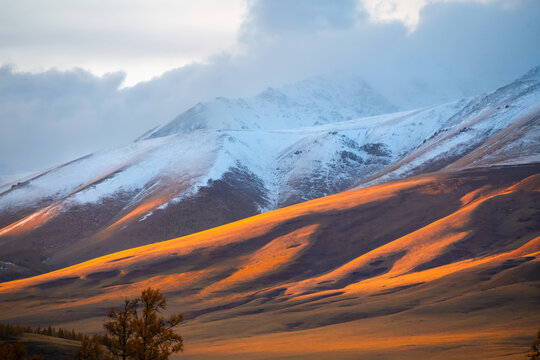 Autumn mountains with yellow grass and snow-covered peaks at sunset. Altai mountains, Siberia, Russia.