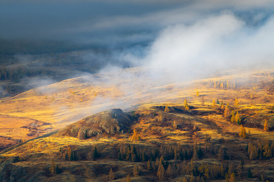 Yellow autumn trees and rocks in Kurai steppe, Altai, Siberia, Russia. Morning fog over the hills.