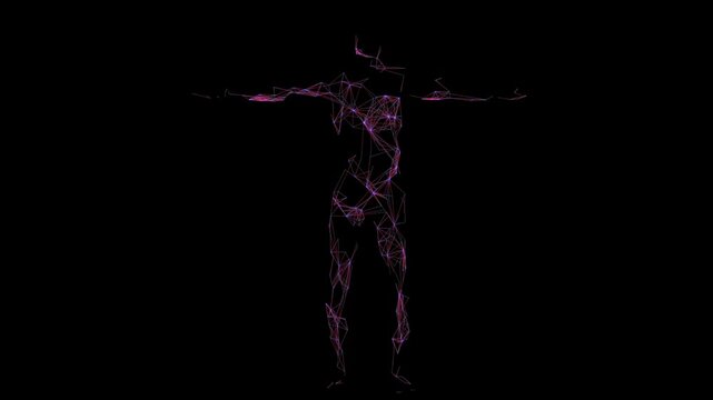 a Digital Data Man with connection on the surface of the body
