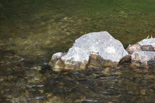 A large gray stone emerges from the transparent water of a mountain or forest river. The clear current gently washes over smooth stones and small pebbles at the bottom. Natural lighting creates a sens