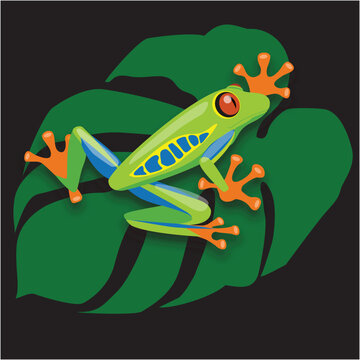 Vibrant vector illustration of a red eyed tree frog on a dark background