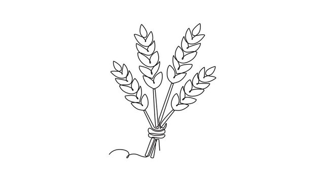 A bundle of golden wheat representing a successful harvest season.Autumn concept. Single line draw design. Full length animation illustration. High quality 4k footage