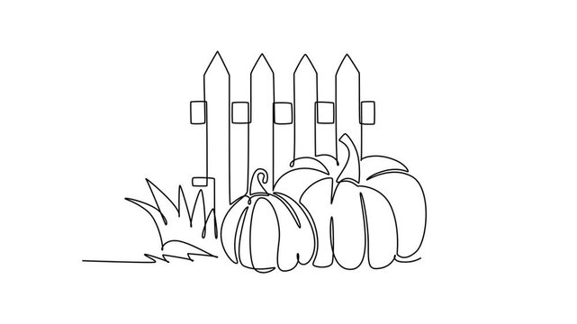 A rustic fence decorated with pumpkins, celebrating the autumn harvest.Autumn concept. Single line draw design. Full length animation illustration. High quality 4k footage