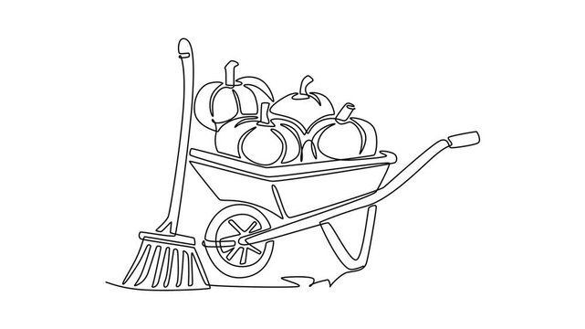 A wheelbarrow loaded with freshly harvested pumpkins and garden tools.Autumn concept. Single line draw design. Full length animation illustration. High quality 4k footage