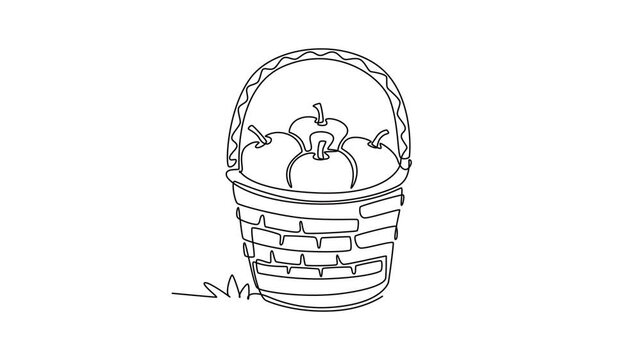 A woven basket filled with fresh apples picked during the harvest season.Autumn concept. Single line draw design. Full length animation illustration. High quality 4k footage